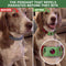 Natural Flea & Tick Pendant for Dogs