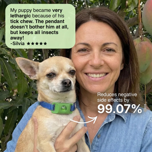 Natural Flea & Tick Pendant for Dogs