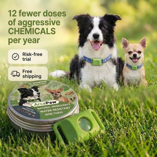 Natural Flea & Tick Pendant for Dogs