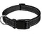 FREE Reflective Nylon Collar