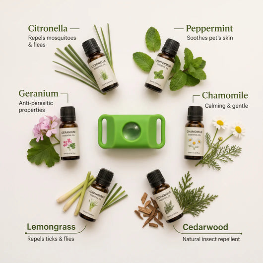 Natural Flea & Tick Pendant for Dogs